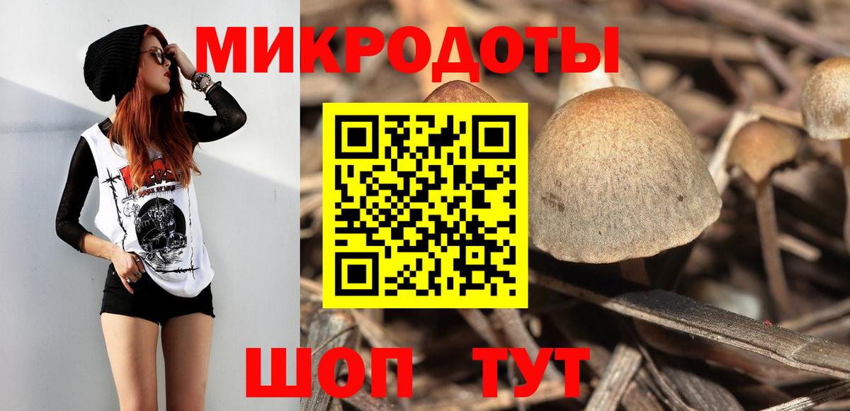 Галлюциногенные грибы Magic Shrooms  Вход с VPN  Ртищево  Псилоцибиновые грибы Psilocybine cubensis 